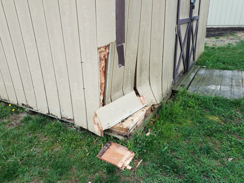 Shed Repair Cost Guide — Cost of Shed Repair